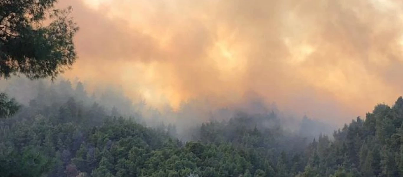 Ανεξέλεγκτη μαίνεται η φωτιά στη Χαλκιδική- Εκκενώνονται οικισμοί (φωτό-βίντεο)